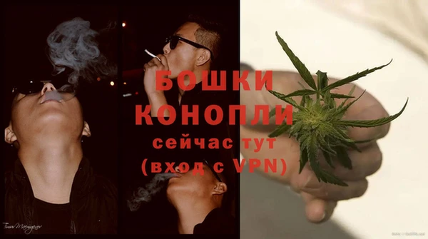 сатива Вязьма