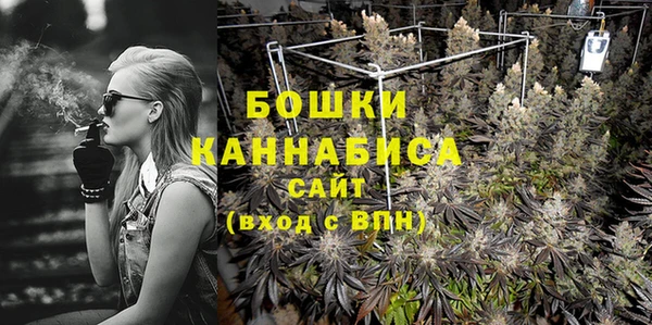 сатива Вязьма