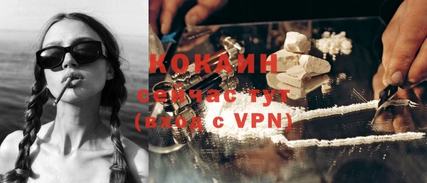 сатива Вязьма