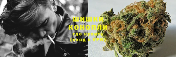 метадон Вяземский