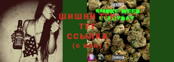 сатива Вязьма