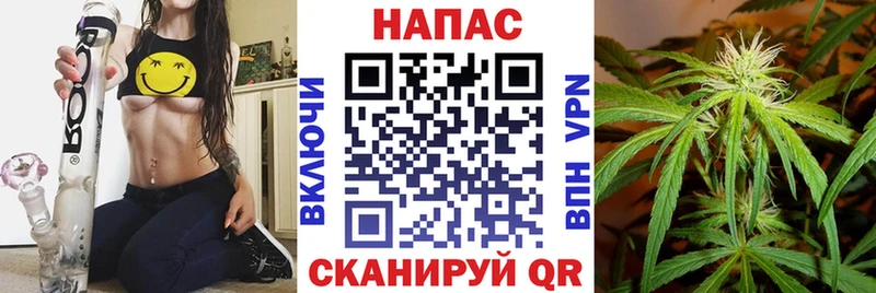где купить   Елизаветинская  МАРИХУАНА план 